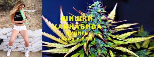 PSILOCYBIN Кукмор
