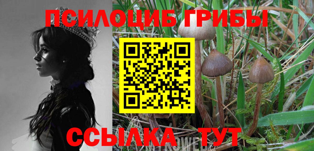 Псилоцибиновые грибы мицелий Новый Уренгой