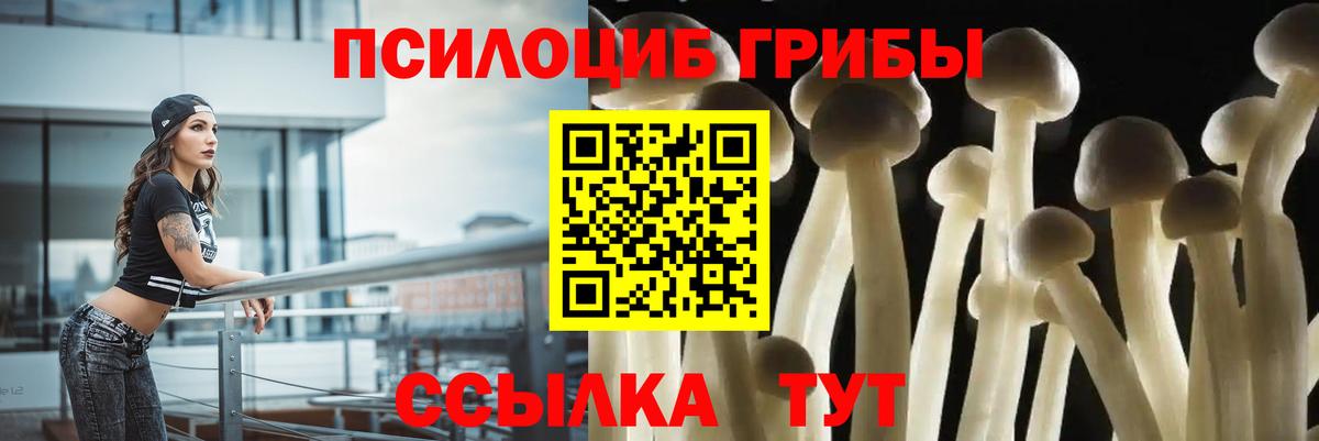 Галлюциногенные грибы ЛСД  Псилоцибиновые грибы Psilocybine cubensis  Вход с VPN  Новый Уренгой 